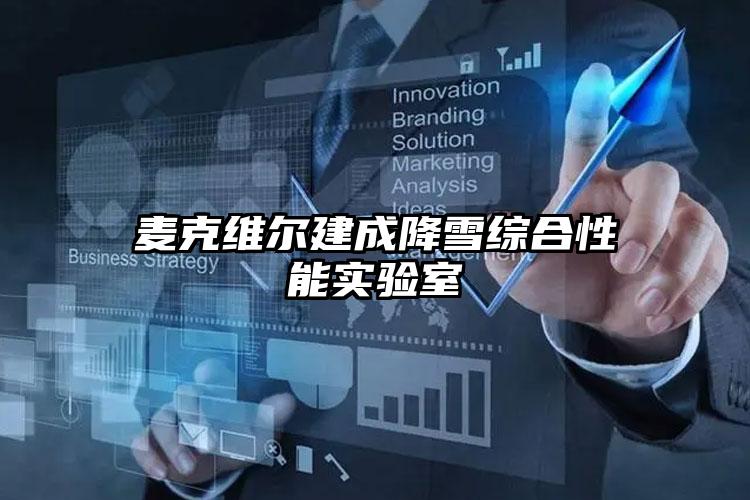 麦克维尔建成降雪综合性能实验室