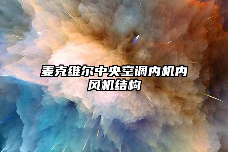 麦克维尔中央空调内机内风机结构